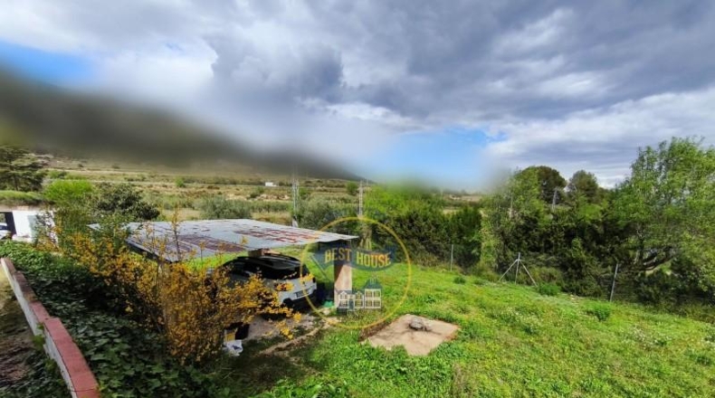 Valencia - Ayelo de Malferit - 4262m2