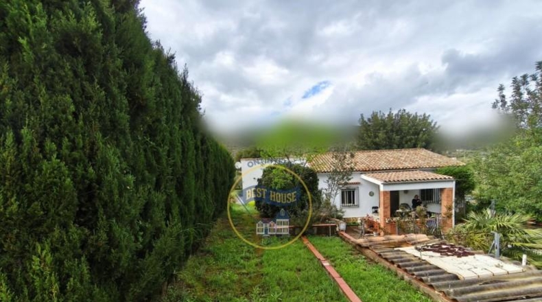 Valencia - Ayelo de Malferit - 4262m2