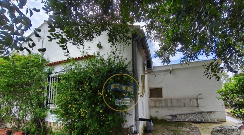 Valencia - Ayelo de Malferit - 4262m2