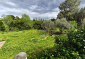 Detached villa with land for sale on España, Aielo de Malferit, ref: TR393640 photo