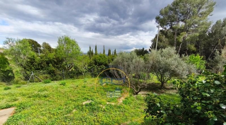 Valencia - Ayelo de Malferit - 4262m2