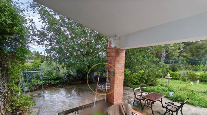 Valencia - Ayelo de Malferit - 4262m2