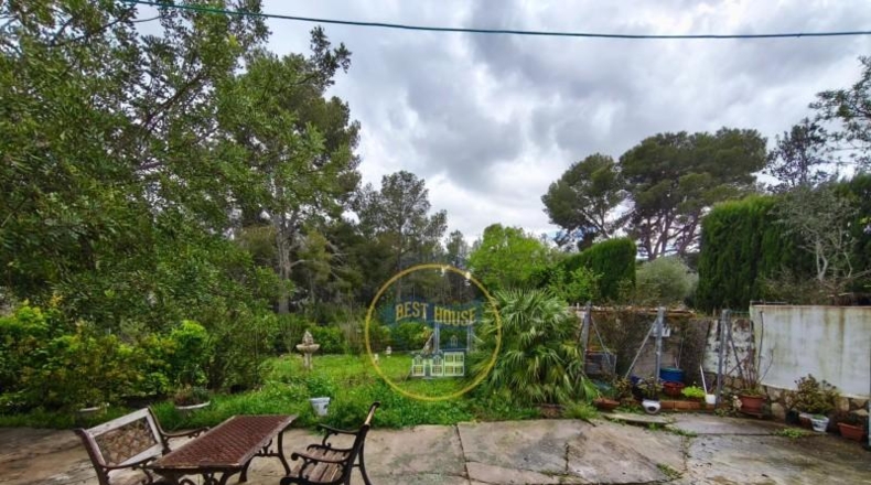 Valencia - Ayelo de Malferit - 4262m2