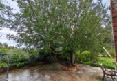Detached villa with land for sale on España, Aielo de Malferit, ref: TR393640 photo