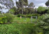 Detached villa with land for sale on España, Aielo de Malferit, ref: TR393640 photo