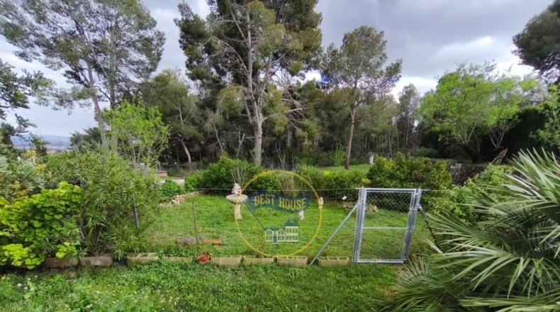 Valencia - Ayelo de Malferit - 4262m2