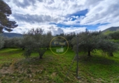 Detached villa with land for sale on España, Aielo de Malferit, ref: TR393640 photo