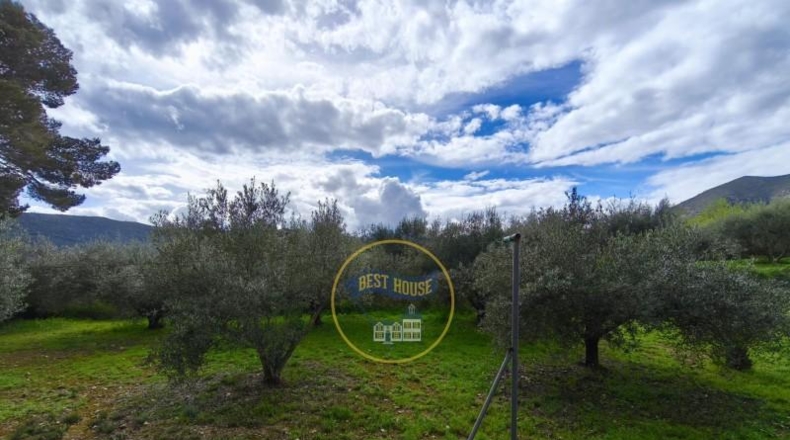 Valencia - Ayelo de Malferit - 4262m2