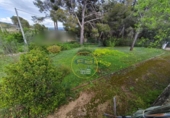 Detached villa with land for sale on España, Aielo de Malferit, ref: TR393640 photo