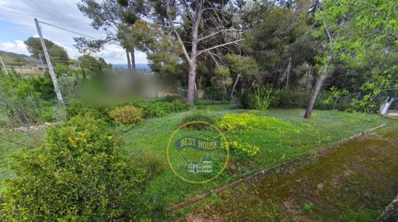 Valencia - Ayelo de Malferit - 4262m2