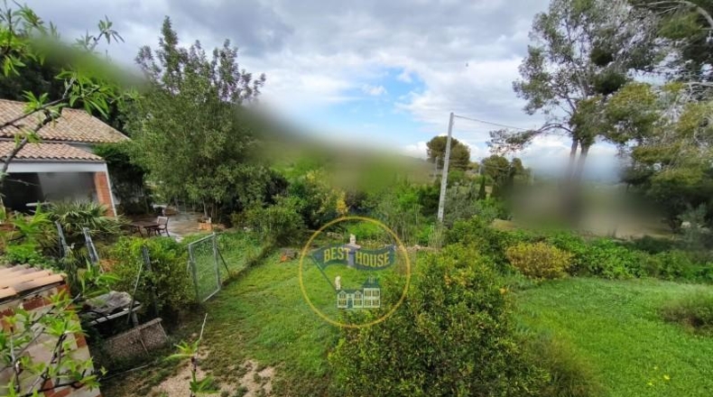 Valencia - Ayelo de Malferit - 4262m2