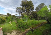 Detached villa with land for sale on España, Aielo de Malferit, ref: TR393640 photo
