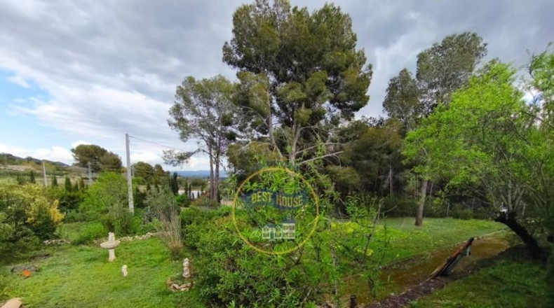 Valencia - Ayelo de Malferit - 4262m2