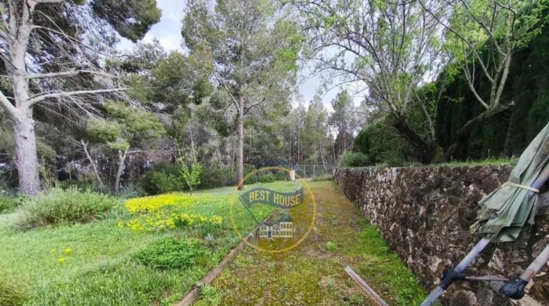 Valencia - Ayelo de Malferit - 4262m2
