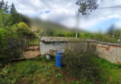Detached villa with land for sale on España, Aielo de Malferit, ref: TR393640 photo