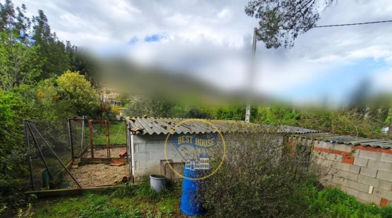 Valencia - Ayelo de Malferit - 4262m2