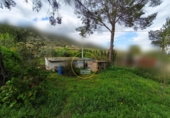 Detached villa with land for sale on España, Aielo de Malferit, ref: TR393640 photo