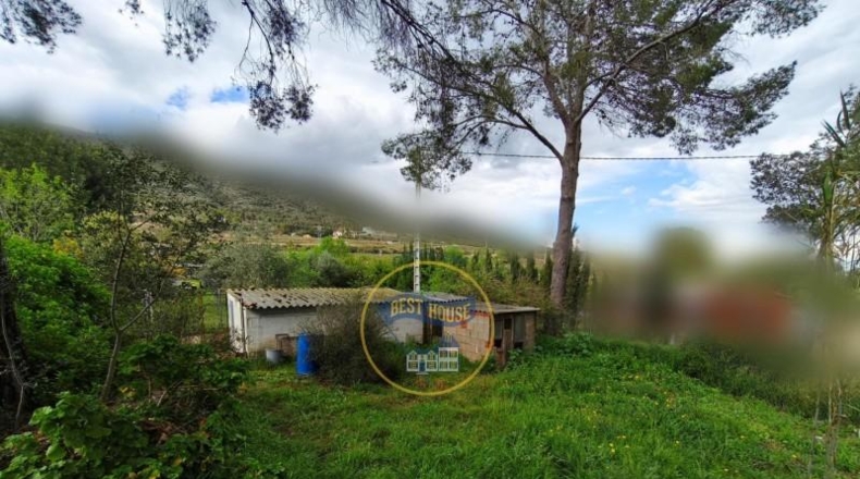 Valencia - Ayelo de Malferit - 4262m2