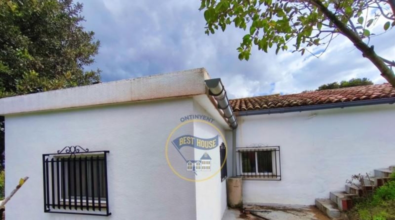 Valencia - Ayelo de Malferit - 4262m2