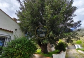 Detached villa with land for sale on España, Aielo de Malferit, ref: TR393640 photo