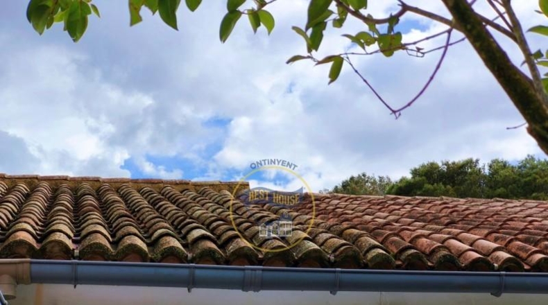 Valencia - Ayelo de Malferit - 4262m2