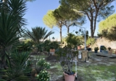 Detached villa with land for sale on España, Bonares, ref: TR361888 photo
