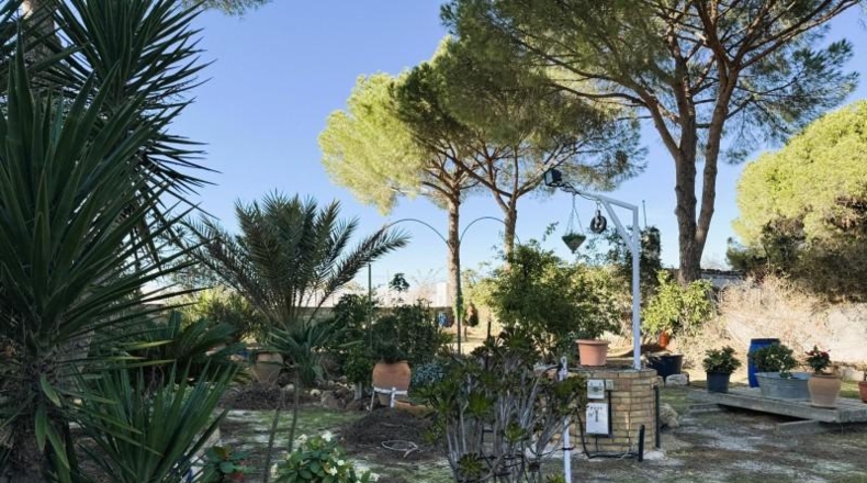 La Rioja - Bañares - 4319m2