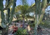 Detached villa with land for sale on España, Bonares, ref: TR361888 photo