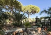 Detached villa with land for sale on España, Bonares, ref: TR361888 photo