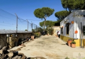 Detached villa with land for sale on España, Bonares, ref: TR361888 photo