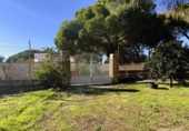 Detached villa with land for sale on España, Bonares, ref: TR361888 photo
