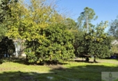 Detached villa with land for sale on España, Bonares, ref: TR361888 photo