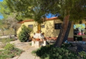 Xalet independent amb terreny en venda a la España, Almansa, ref.: TR355770 foto