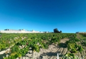 Terreny no urbanitzable en venda a la España, Sanlúcar de Barrameda, ref.: TR164682 foto