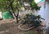 Casa de pueblo en venta en la España, Pilas, ref: TR294088 foto