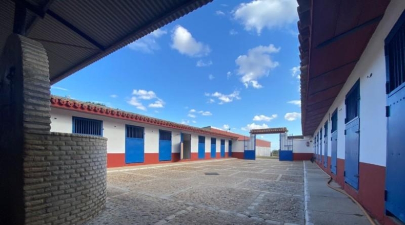 Seville - La Puebla del Río - 4500m2