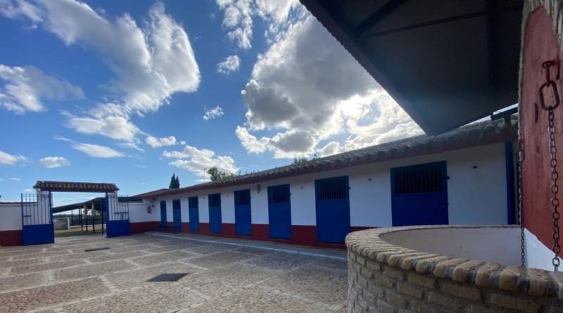 Seville - La Puebla del Río - 4500m2