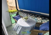 Chalet independiente con terreno en venta en la España, Salobreña, ref: TR240129 foto
