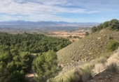 Земля на продажу у города Lorca Фото