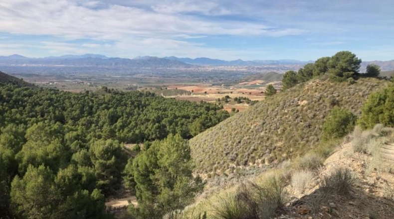 Murcia - Lorca - 879948m2