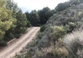 Земля на продажу у города Lorca Фото