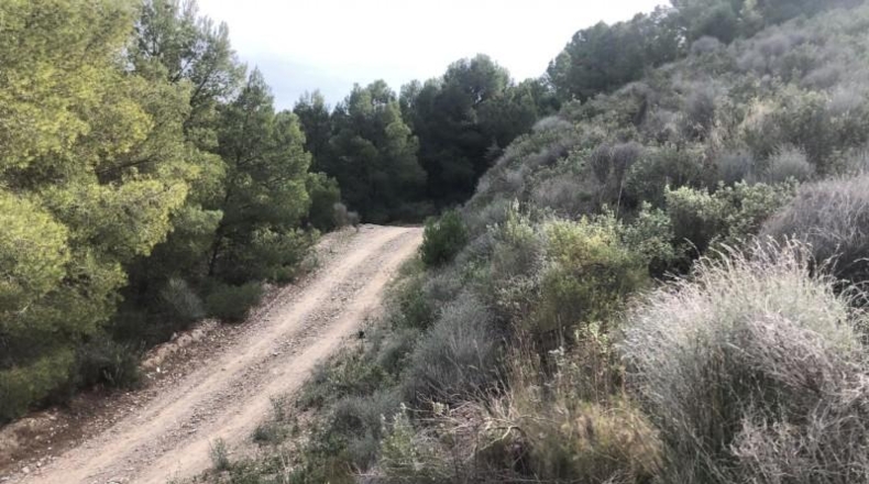 Murcia - Lorca - 879948m2
