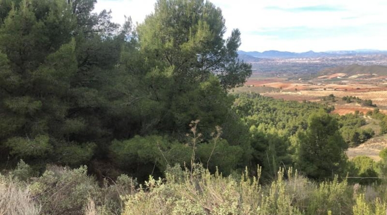 Murcia - Lorca - 879948m2