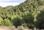 Земля на продажу у города Lorca Фото