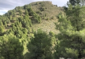 Земля на продажу у города Lorca Фото