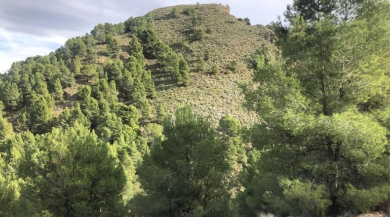 Murcia - Lorca - 879948m2