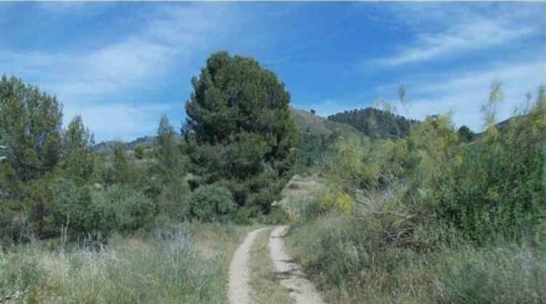 Murcia - Lorca - 879948m2