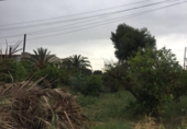 Suelo urbano en venta en la España, Murcia, ref: TR276335 foto