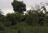 Suelo urbano en venta en la España, Murcia, ref: TR276335 foto