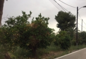 Suelo urbano en venta en la España, Murcia, ref: TR276335 foto